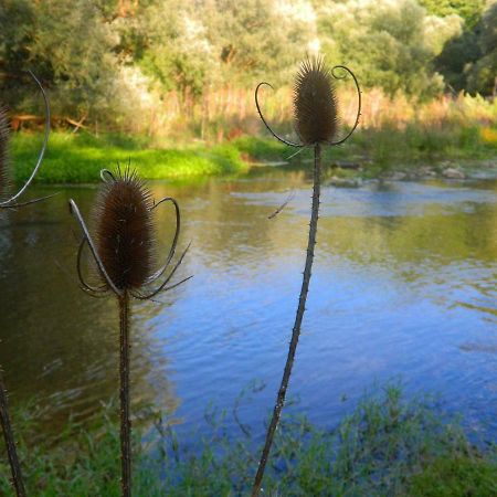 L'Antico Ritrovo Bed & Breakfast Moliterno Dış mekan fotoğraf