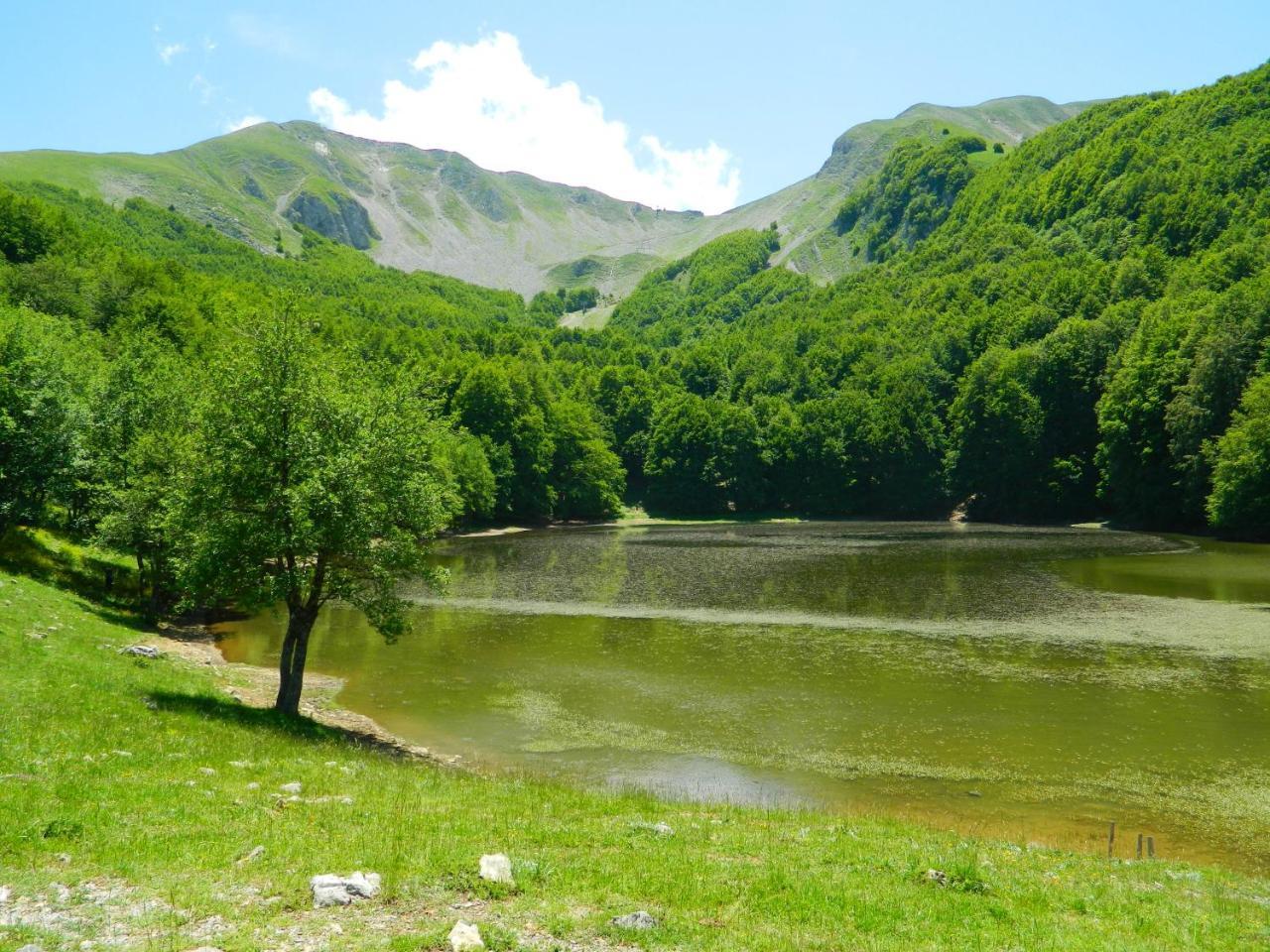 L'Antico Ritrovo Bed & Breakfast Moliterno Dış mekan fotoğraf