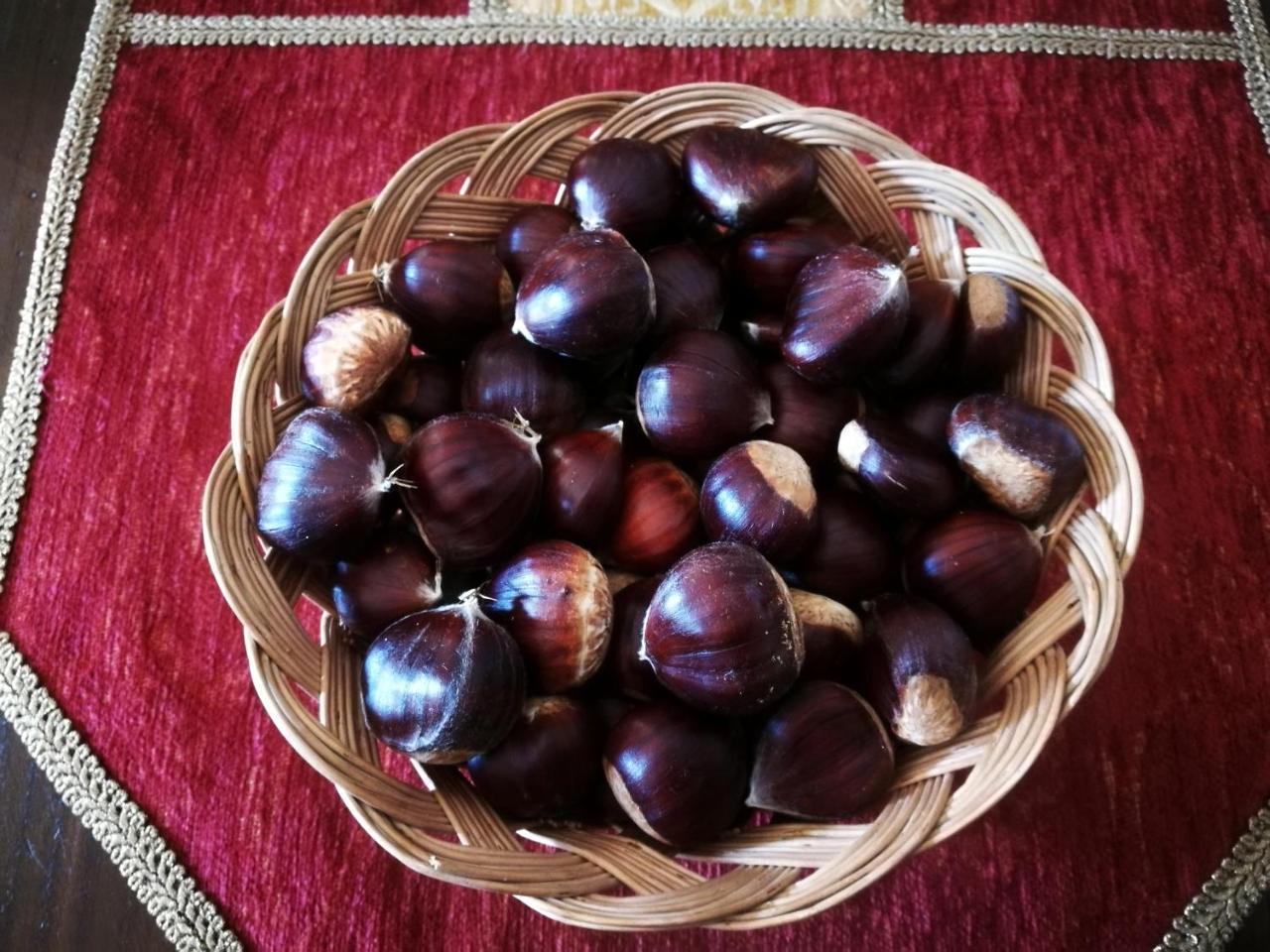 L'Antico Ritrovo Bed & Breakfast Moliterno Dış mekan fotoğraf