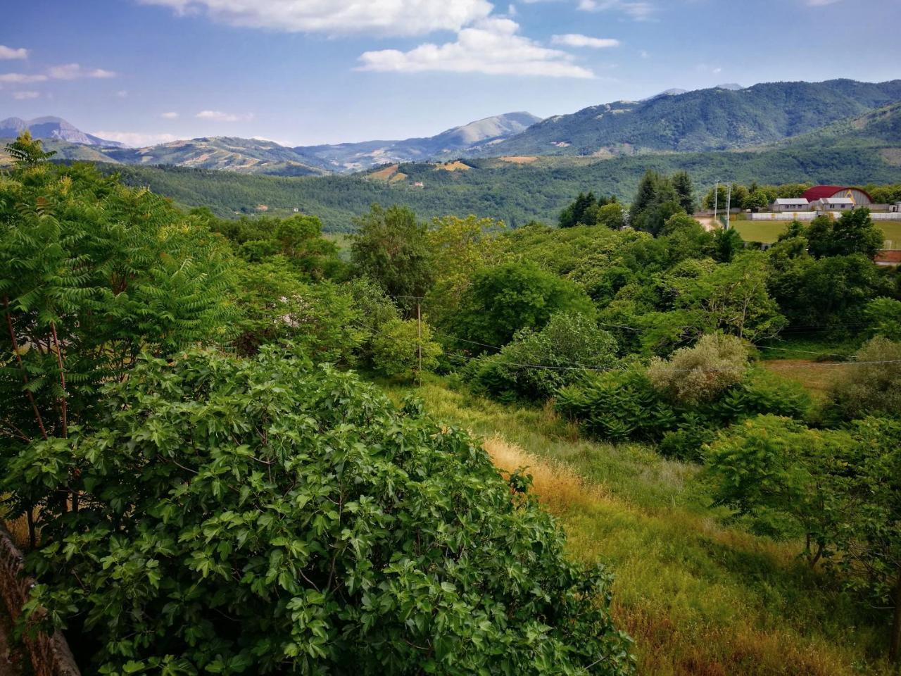 L'Antico Ritrovo Bed & Breakfast Moliterno Dış mekan fotoğraf